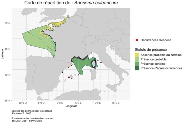 Carte de Répartition de Ariosoma balearicum Répartition Ariosoma balearicum