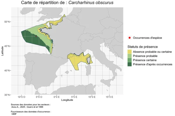 Carte de répartition de Carcharhinus obscurus Répartition de Carcharhinus obscurus