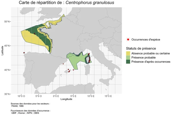 Carte de Répartition de Centrophorus granulosus Répartition Centrophorus granulosus