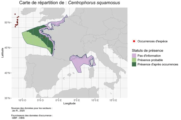 Répartition Centrophorus squamosus