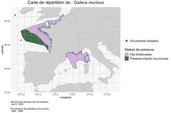 Répartition Galeus murinus
