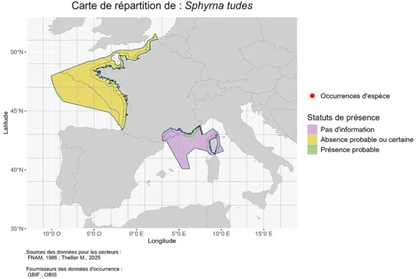 Carte de répartition de Sphyrna tudes (Requin marteau à petits yeux) Répartition Sphyrna tudes
