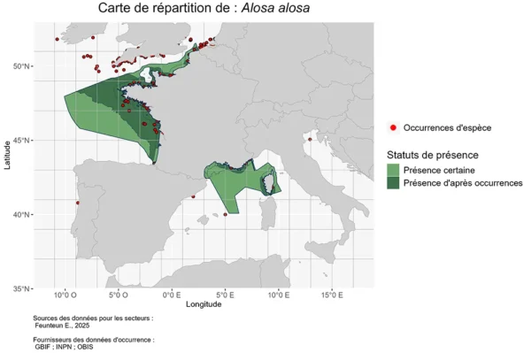 Carte de Répartition de Alosa alosa Répartition Alosa alosa