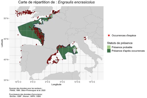 Répartition Engraulis encrasicolus