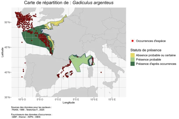 Carte de Répartition de Gadiculus argenteus Répartition Gadiculus argenteus