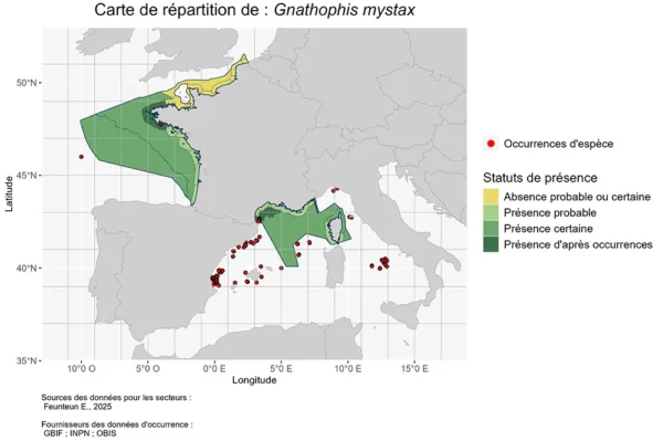 Répartition Gnathophis mystax