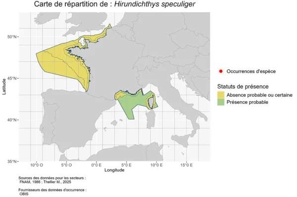 carte de Répartition de Hirundichthys speculiger Répartition Hirundichthys speculiger