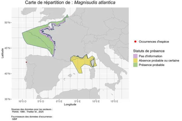 Répartition magnisudis atlantica