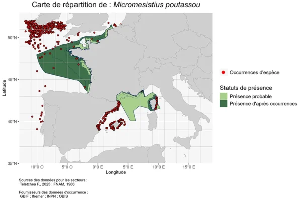 Répartition Micromesistius poutassou
