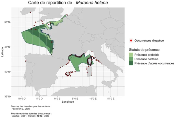 Carte deRépartition de muraena helena Répartition muraena helena
