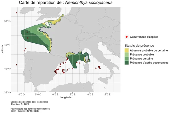 Carte de Répartition de Nemichthys scolopaceus Répartition Nemichthys scolopaceus