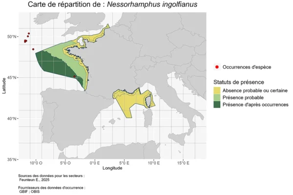 Carte de Répartition de Nessorhamphus ingolfianus Répartition nessorhamphus ingolfianus