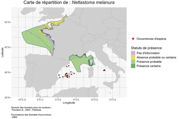 Répartition Nettastoma melanura