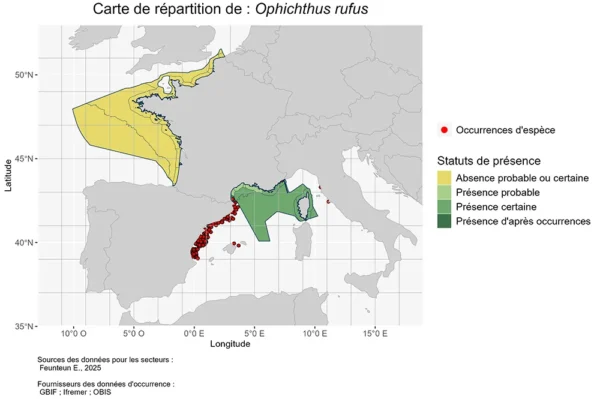 Carte de Répartition de Ophichthus rufus Répartition Ophichthus rufus