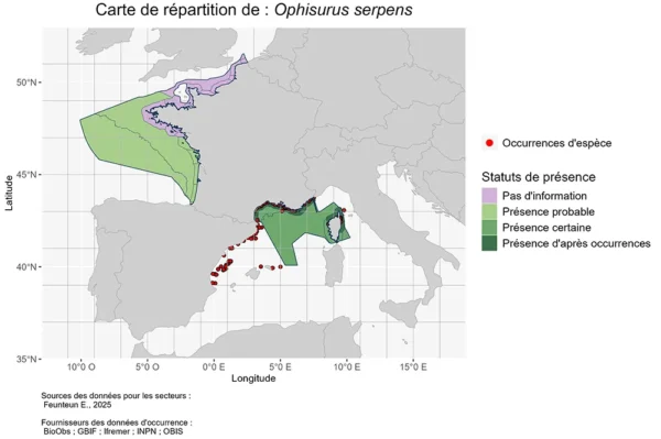 Carte de Répartition de ophisurus serpens Répartition ophisurus serpens