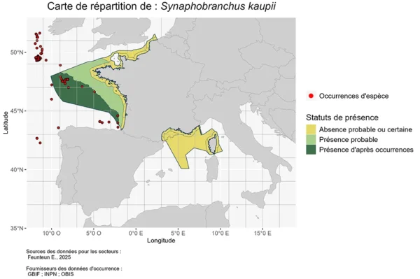 Carte de Répartition de Synaphobranchus kaupii Répartition Synaphobranchus kaupii