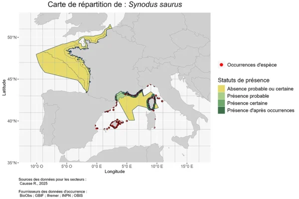 Carte de Répartition de synodus saurus Répartition synodus saurus